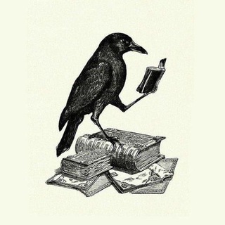 Telegram profile photo for Paratus