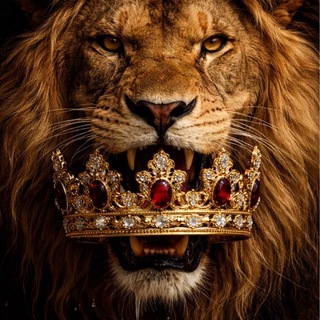 Telegram profile photo for Школа тролинга Павла короля и кай ангела