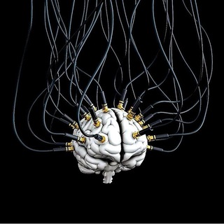 Telegram profile photo for Neuro Pro