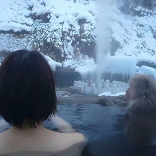Telegram profile photo for переходник Afilona