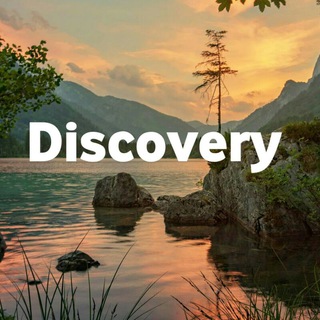 Telegram profile photo for DiscoVery