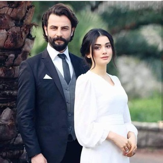 Telegram profile photo for قناة ♥️ استوريات ♥️ اشعار ♥️ اغاني