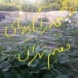 Telegram profile photo for شیخدرابادیهای مقیم تهران