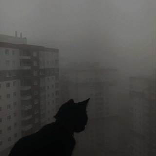Telegram profile photo for умер в крыму