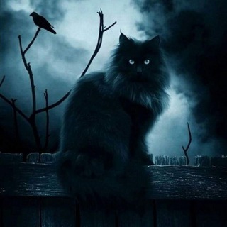 Telegram profile photo for ВЕРЕСК. Страшные истории.