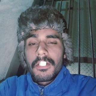 Telegram profile photo for Komi