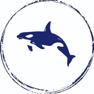 Telegram profile photo for Orca Accessories