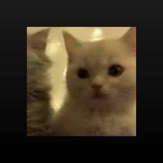 Telegram group profile photo for ЧАТИК ДЛЯ ОБЩЕНИЯ 💗