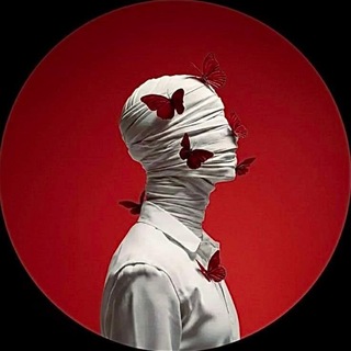 Telegram profile photo for Наглый айтдимде