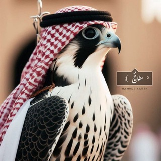 Telegram profile photo for مَطَٰـٰﺂﺈنـﯧَٚخۦ 𓅓
