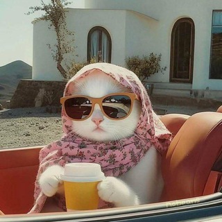 Telegram profile photo for يوميات كاتبة