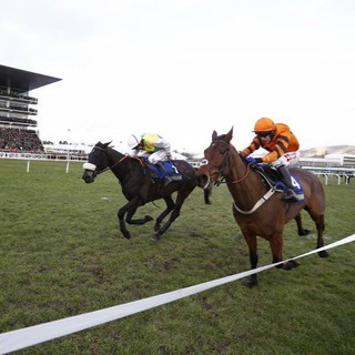 Telegram profile photo for OTTR Horse Racing