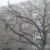 Telegram profile photo for переходник 🎼