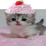 Telegram profile photo for инɸᴏ нᴀɸᴇᴋ |・ω・)