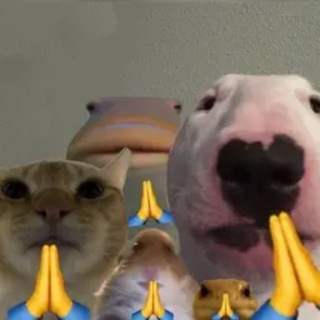 Telegram group profile photo for Solana Family