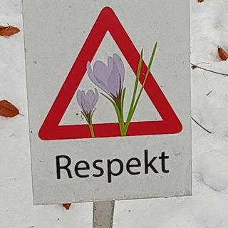 Telegram profile photo for a channel about plants & stuff