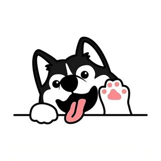 Telegram profile photo for Momo加速