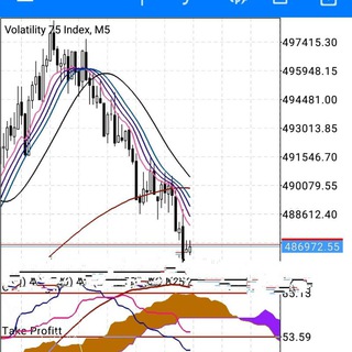 Telegram profile photo for Shetty forex signals and indicators