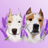 Telegram profile photo for AsA