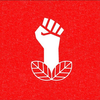 Telegram profile photo for سرخ گو