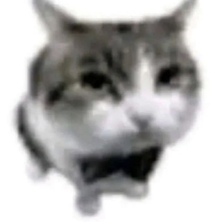 Telegram profile photo for Тучка