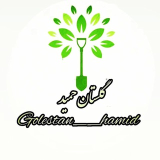 Telegram profile photo for 🌸🌸🌸گلستان حمید🌸🌸🌸تولید و فروش آنلاین گل و گیاه🌸