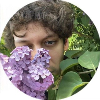 Telegram profile photo for кудряшки шастуна