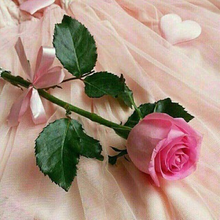 Telegram profile photo for 📕داستان کده 📘