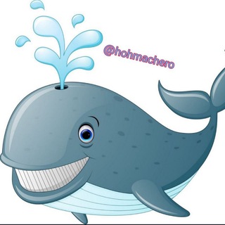 Telegram profile photo for Хохмач 🐳