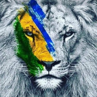 Telegram profile photo for SELVA & AÇO