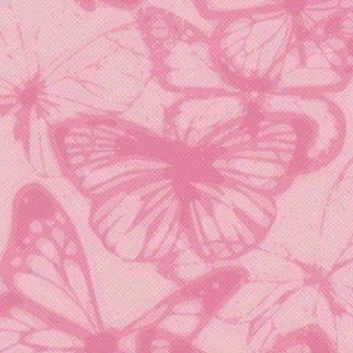 Telegram profile photo for Butterflies lady