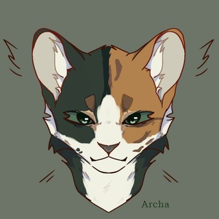 Telegram profile photo for ⚽️«Spilled Valley studio!»
