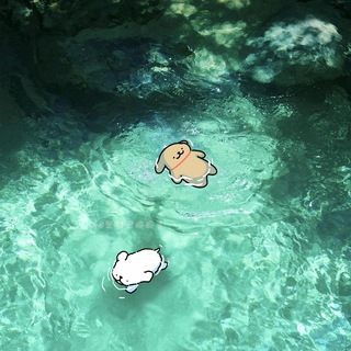 Telegram profile photo for 水军注册充值
