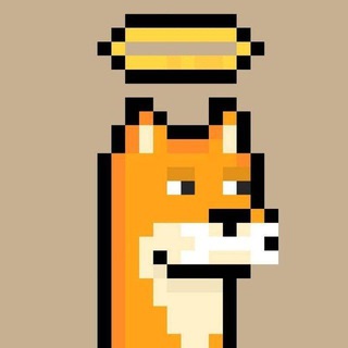 Telegram profile photo for 老白calls