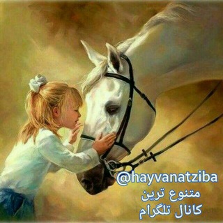 Telegram profile photo for حیوانات زیبا(مخلوقات زیبای پروردگار)