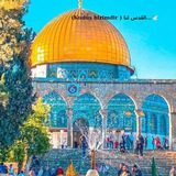 Telegram profile photo for 🇵🇸🕊️...القدس لنا (KUDÜS BİZİMDİR)