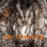 Telegram profile photo for Вестоносец