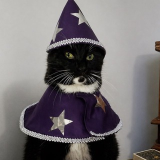 Telegram profile photo for Гадания на Таро Алексея Н.