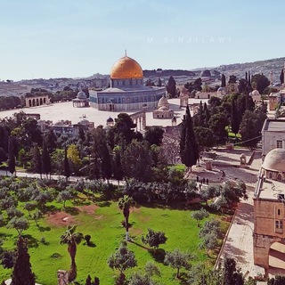 Telegram profile photo for Alaqsa Mosque المسجد الاقصى M.sinjilawi