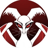 Telegram profile photo for SHEKO
