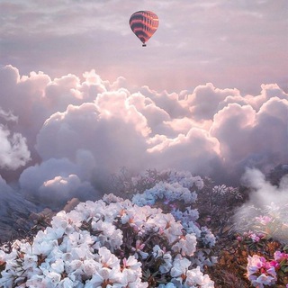 Telegram profile photo for 🌸здесь цветут вишни🌺