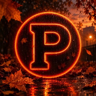 Telegram profile photo for 𝗣𝗮𝗿𝗮𝗯𝗲𝗹𝗹𝘂𝗺™ | Моніторинг