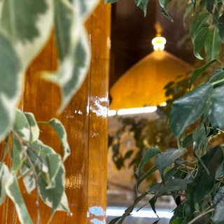 Telegram profile photo for أبرار الشّيخ لقمان