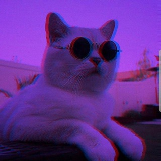Telegram profile photo for Intergalacticvagina