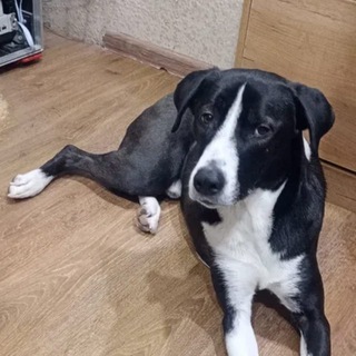 Telegram profile photo for Семён сохраняет полезное_)