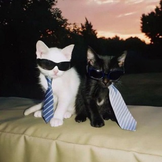 Telegram profile photo for Легенда о 6 героях