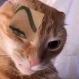 Telegram profile photo for терияки мемы