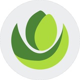Telegram profile photo for Живи с цветами!