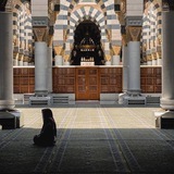 Telegram profile photo for مذكِّر
