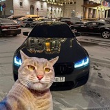 Telegram profile photo for Bounty